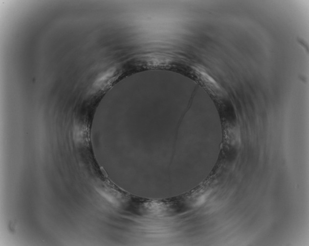 X0000091180419200708161521