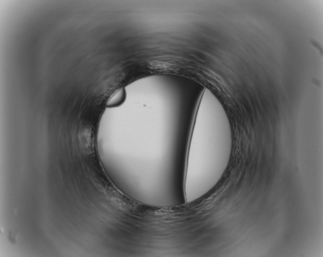 X0000091180420200708161521