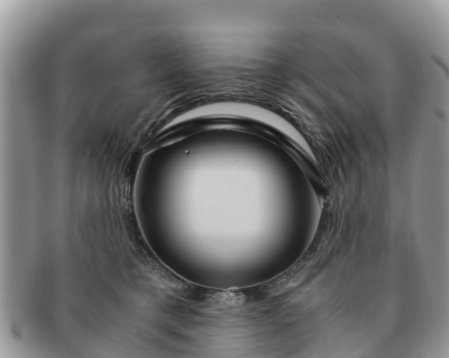 X0000091180421200708161521