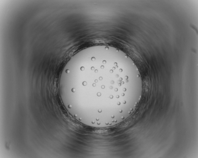 X0000091180422200708161521