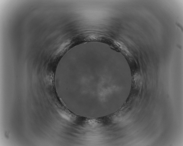 X0000091180423200708161521
