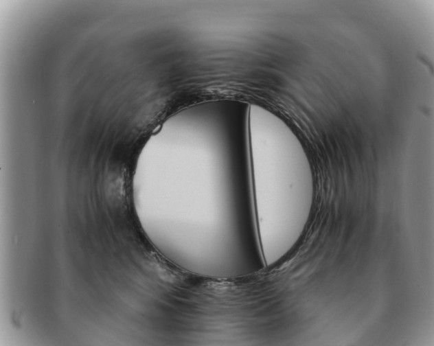 X0000091180424200708161521