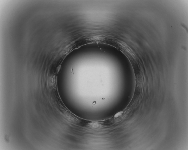 X0000091180425200708161521