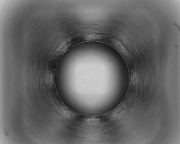 X0000091180426200708161521