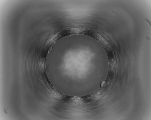X0000091180427200708161521