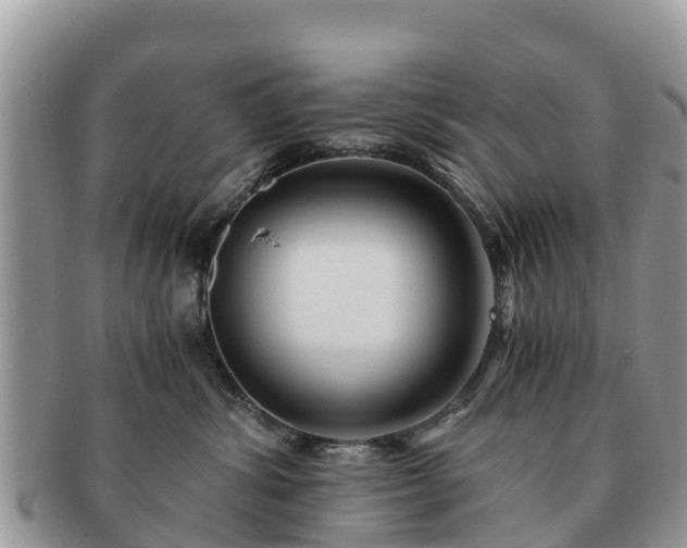 X0000091180428200708161521