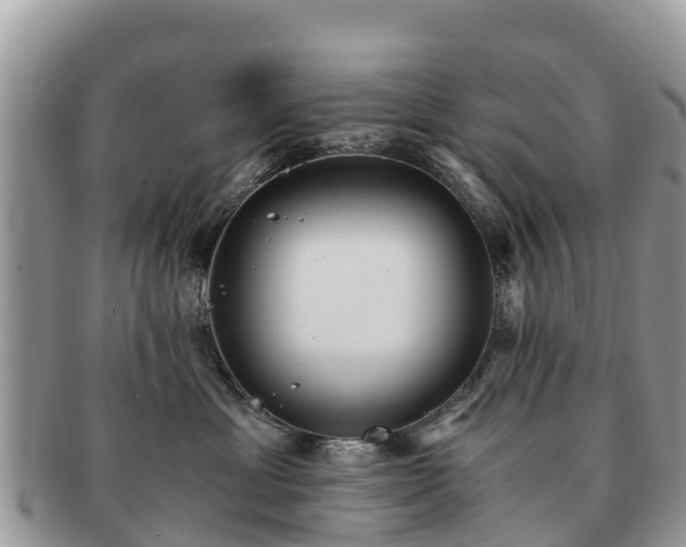 X0000091180429200708161521