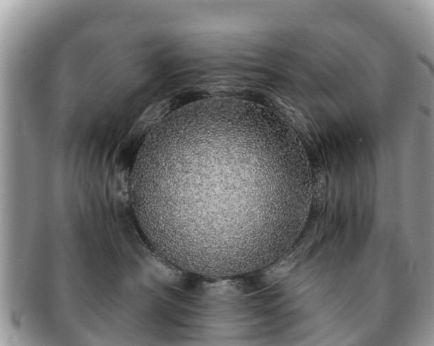 X0000091180430200708161521