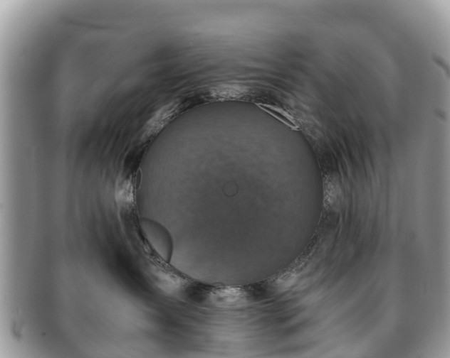X0000091180431200708161521