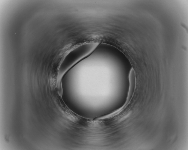 X0000091180432200708161521