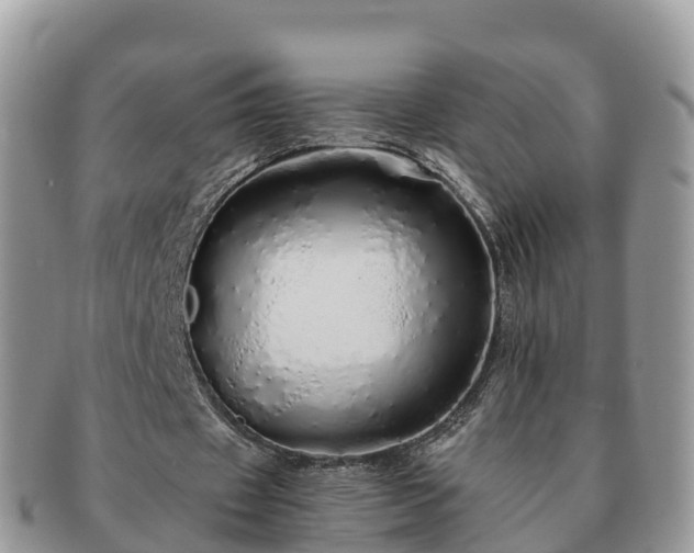 X0000091180433200708161521