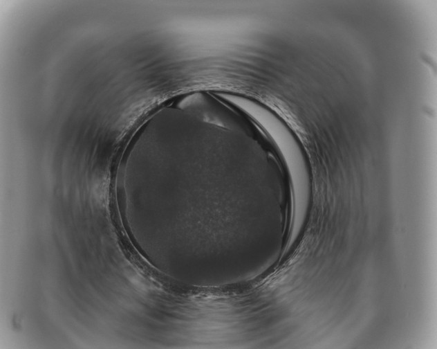 X0000091180434200708161521