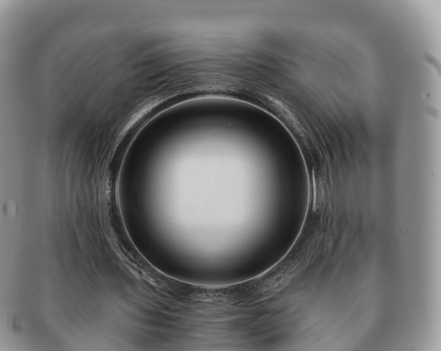 X0000091180435200708161521