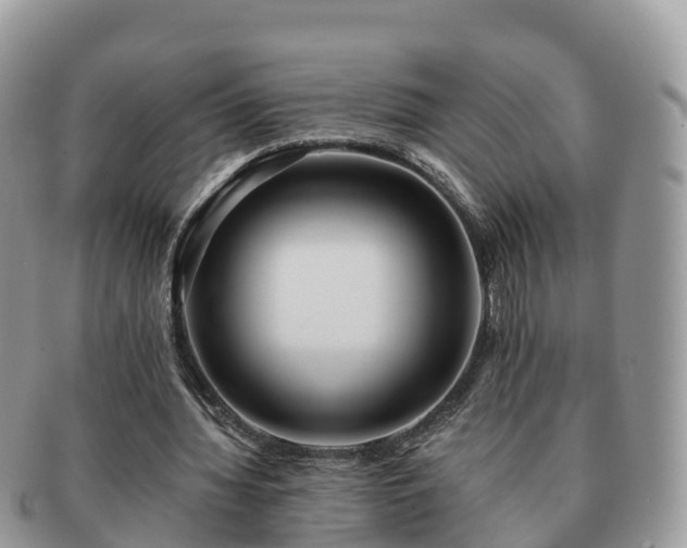 X0000091180436200708161521