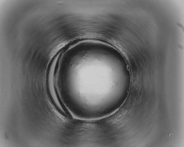 X0000091180437200708161521