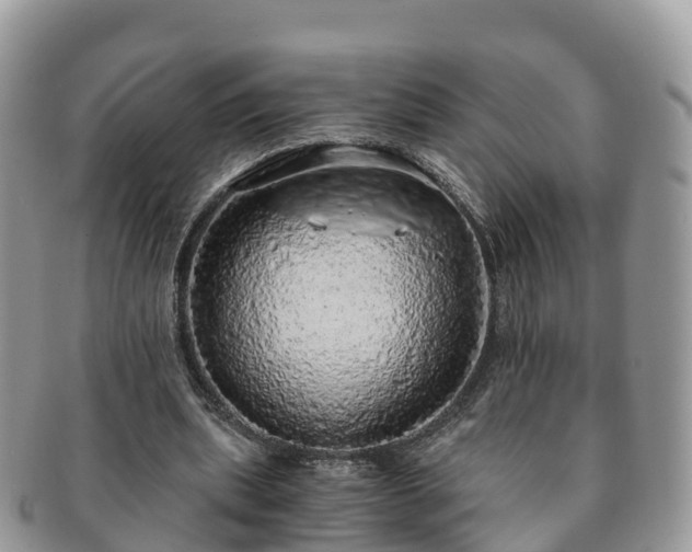 X0000091180439200708161521