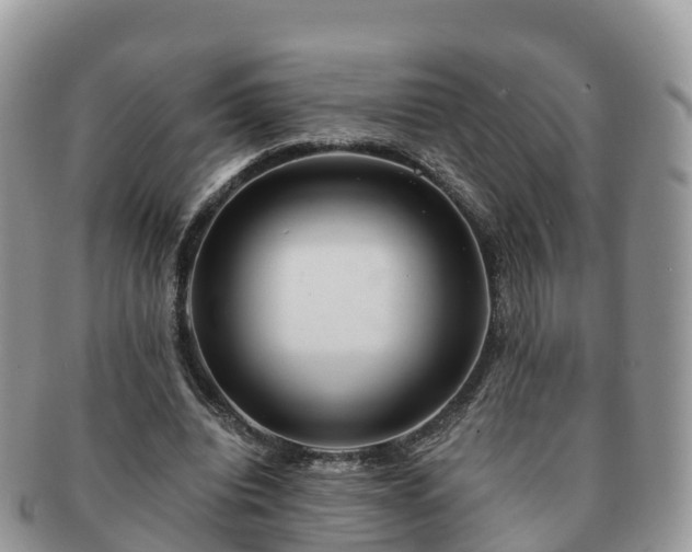 X0000091180440200708161521