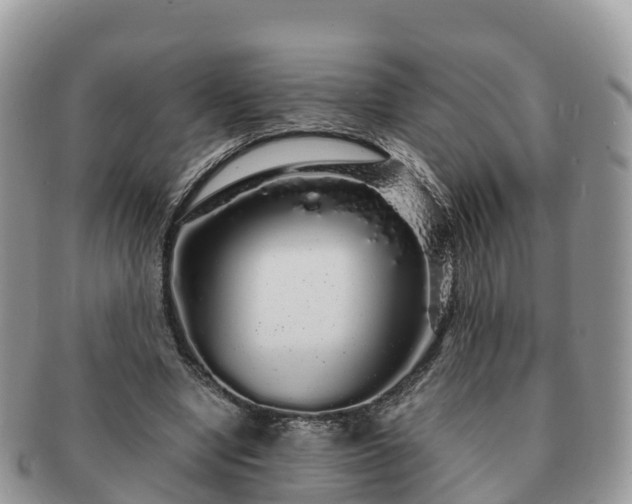 X0000091180442200708161521