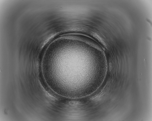 X0000091180444200708161521