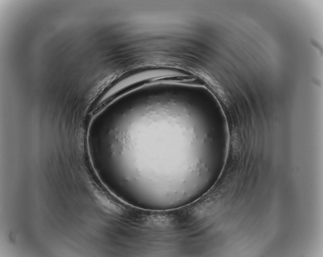 X0000091180445200708161521