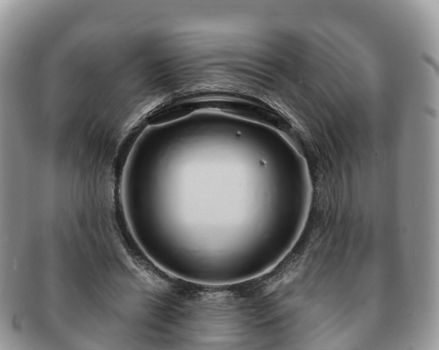 X0000091180446200708161521