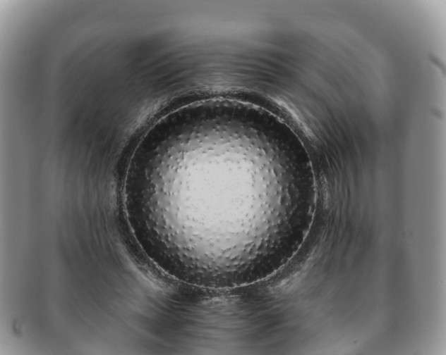 X0000091180447200708161521