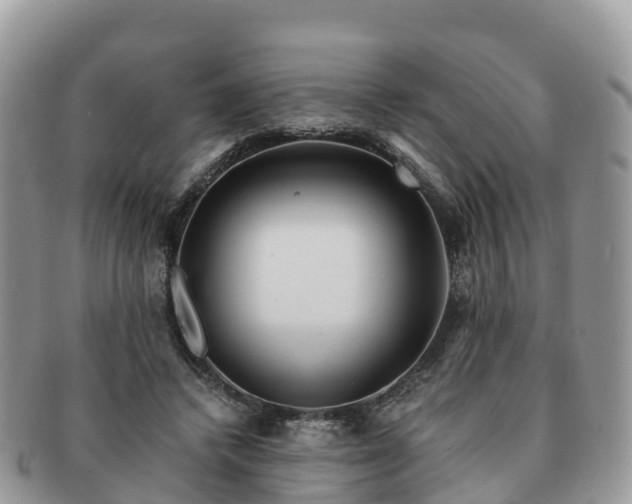 X0000091180448200708161521