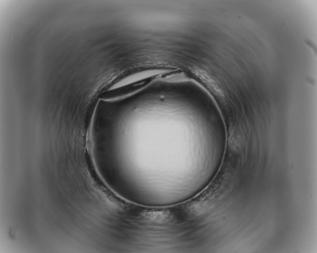 X0000091180449200708161521