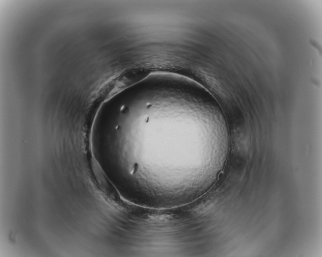 X0000091180450200708161521