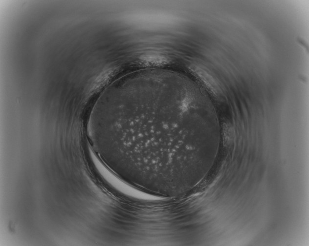 X0000091180451200708161521