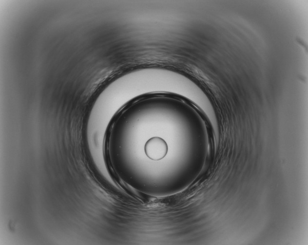 X0000091180452200708161521