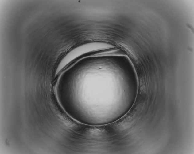 X0000091180453200708161521