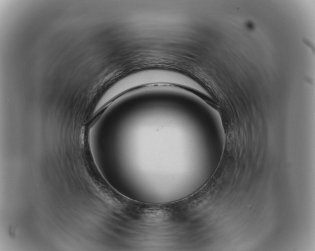 X0000091180454200708161521