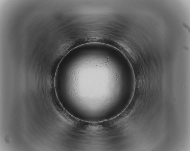 X0000091180455200708161521