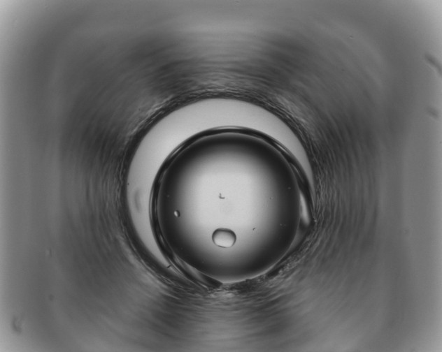 X0000091180456200708161521