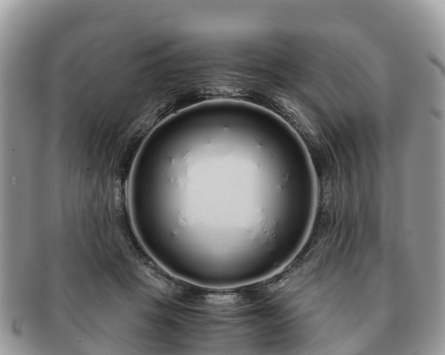 X0000091180457200708161521