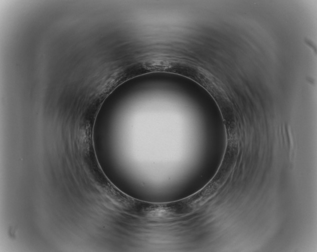 X0000091180460200708161521