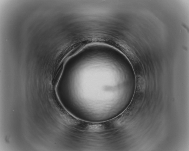 X0000091180461200708161521