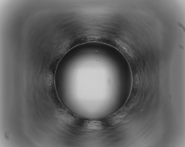 X0000091180463200708161521