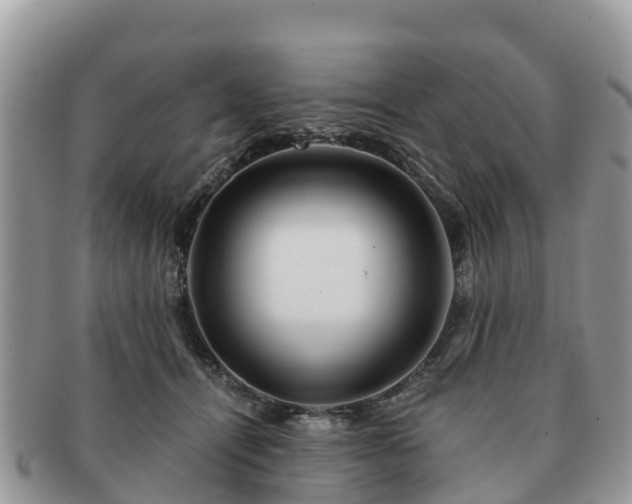 X0000091180464200708161521