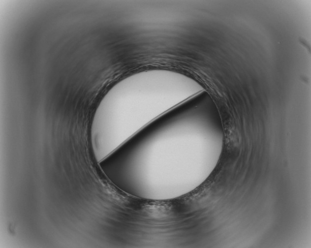 X0000091180466200708161521