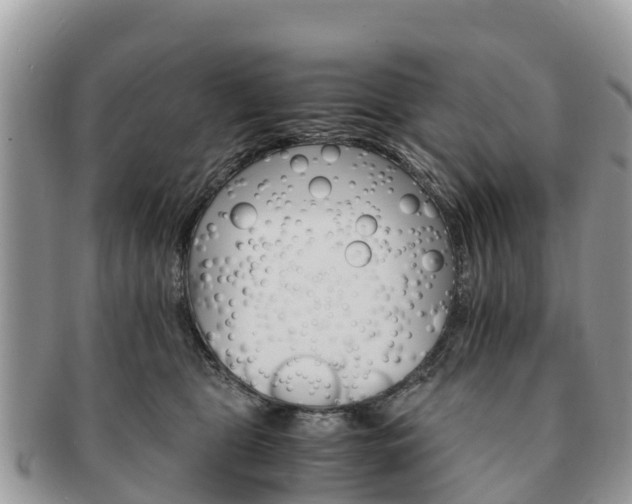X0000091180469200708161521