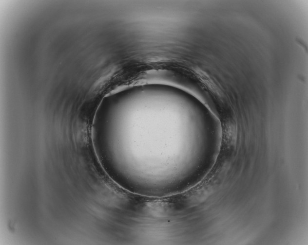 X0000091180470200708161521