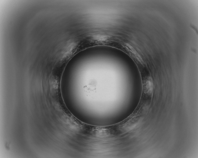 X0000091180472200708161521