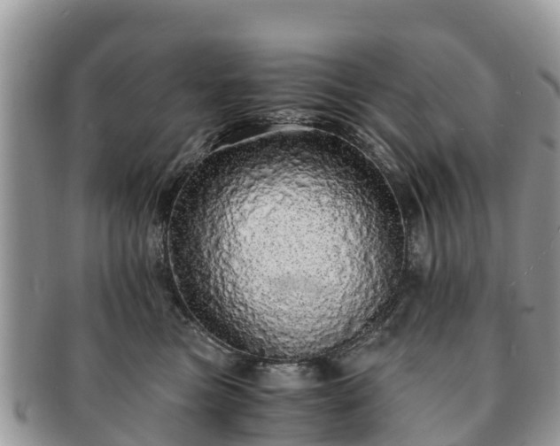 X0000091180473200708161521