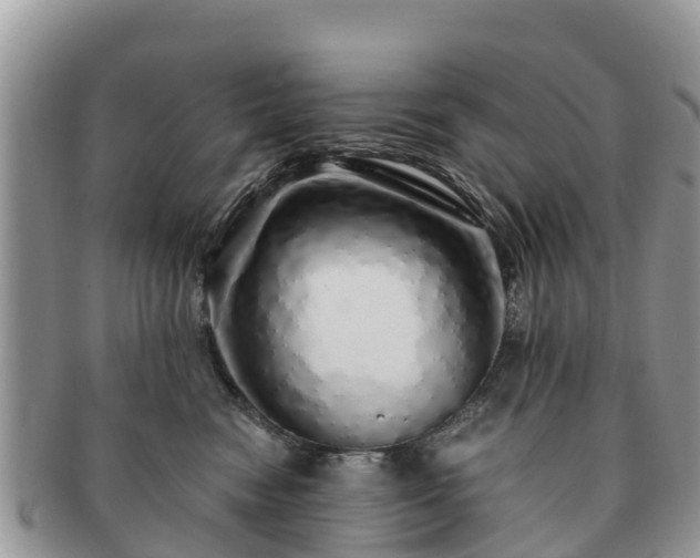 X0000091180474200708161521