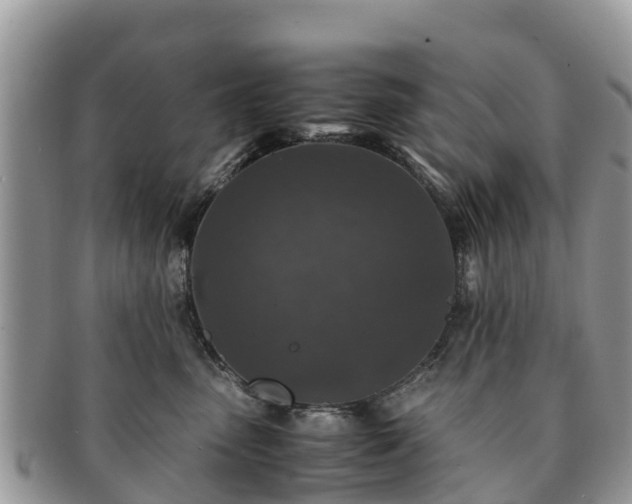 X0000091180475200708161521