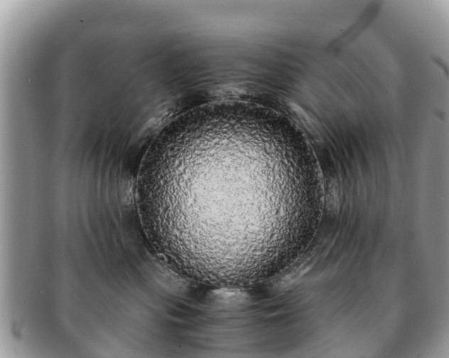X0000091180477200708161521