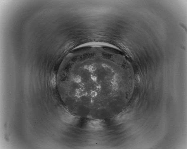 X0000091180479200708161521