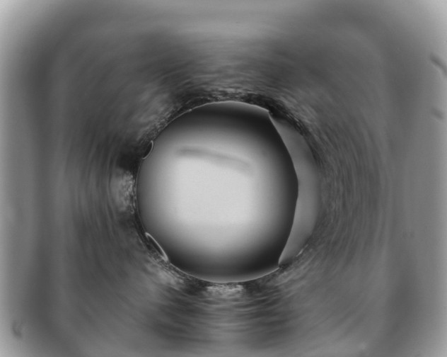 X0000091180480200708161521